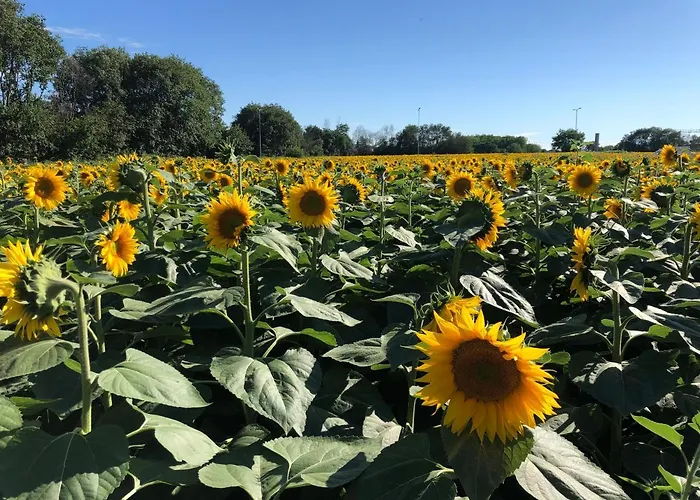 Casa de Férias Casale Del Monte,