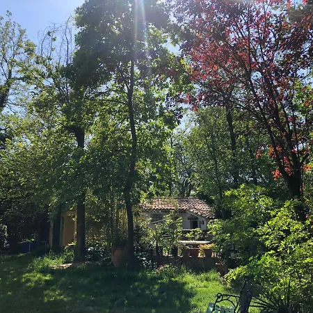 Casale Del Monte, بيزارو