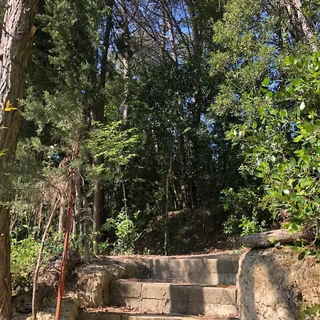 بيت للعطل Casale Del Monte, بيزارو