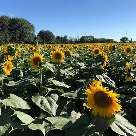 بيت للعطل Casale Del Monte,