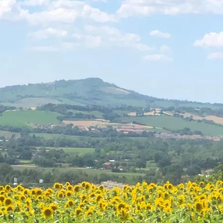 بيت للعطل Casale Del Monte, بيزارو