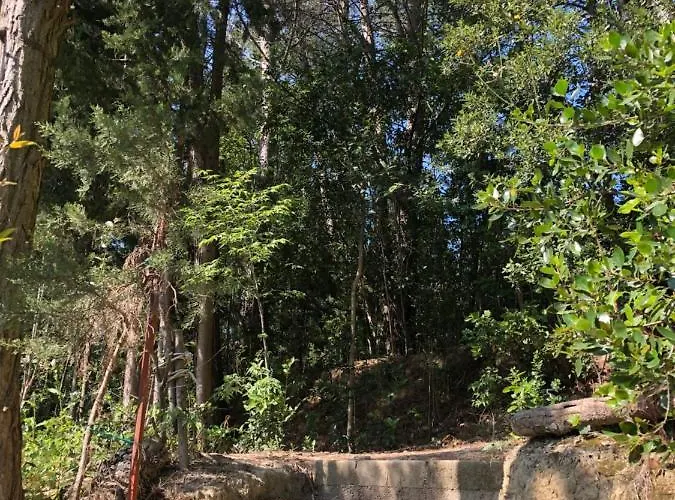 Holiday home Casale Del Monte, Pesaro